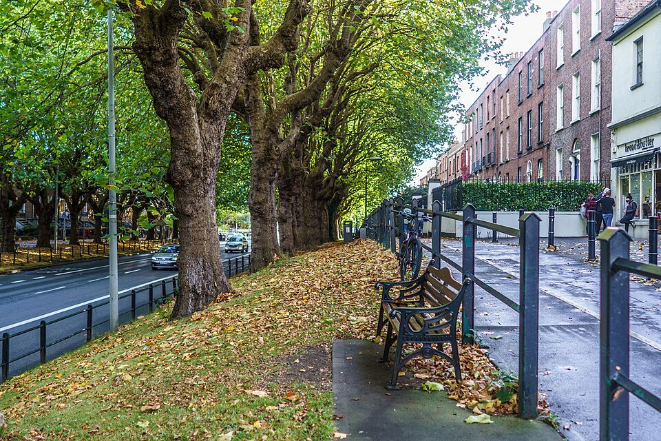 Drumcondra, Dublin North