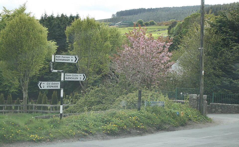 Stepaside, Dublin South